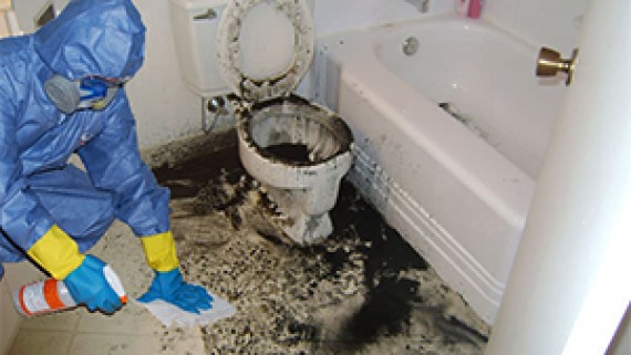Sewage Cleanup